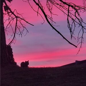 Meet your Posher, Juliette